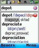 English - Polish Dictionary