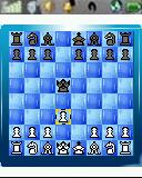 Cotopia Chess