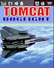 F14 Tomcat Dogfight
